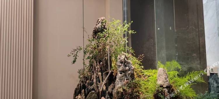 君凯乐酒店(襄阳华中光彩店)图片