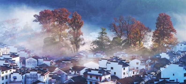 婺源石城古树农庄图片