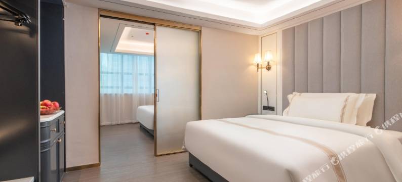 深圳罗湖口岸向西村地铁站希岸Deluxe酒店图片