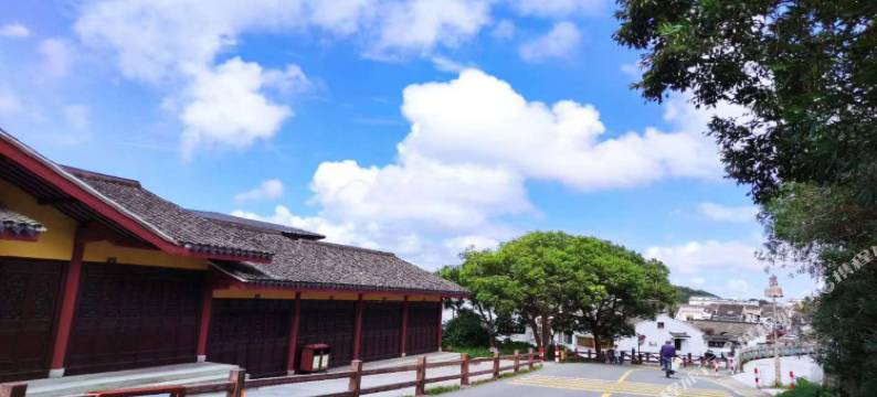 普陀山栖心阁民宿(普济寺店)图片