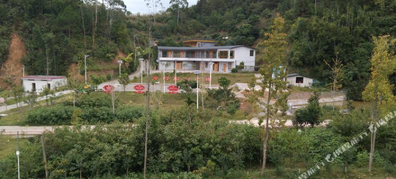 罗定龙湾镇长湾民宿图片