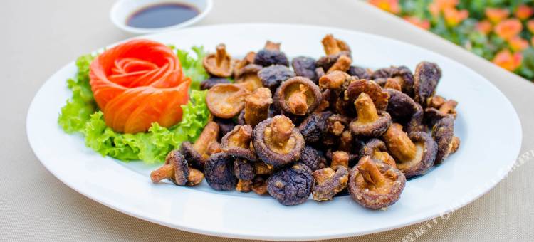 清孔财富江景酒店(Fortune Riverview Hotel Chiang Khong)图片