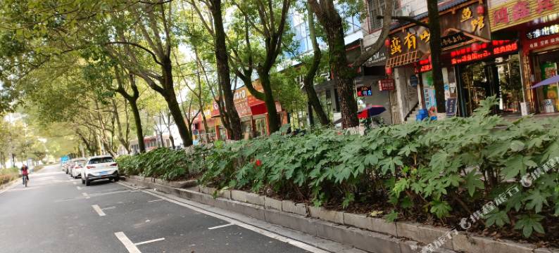 资兴鸿鑫宾馆图片