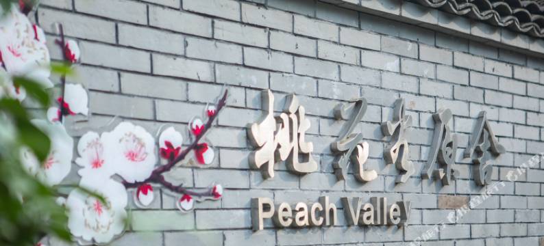 安吉桃花谷民宿图片