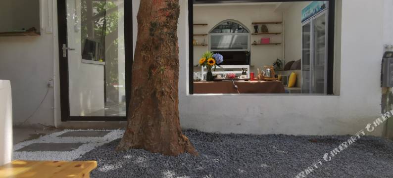 景洪泰逗青年旅舍图片