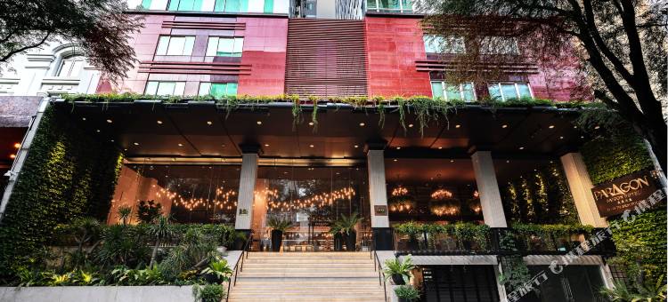 百利宫西贡酒店(Paragon Saigon Hotel)图片