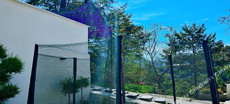 安吉花蔓·梦里云境民宿图片