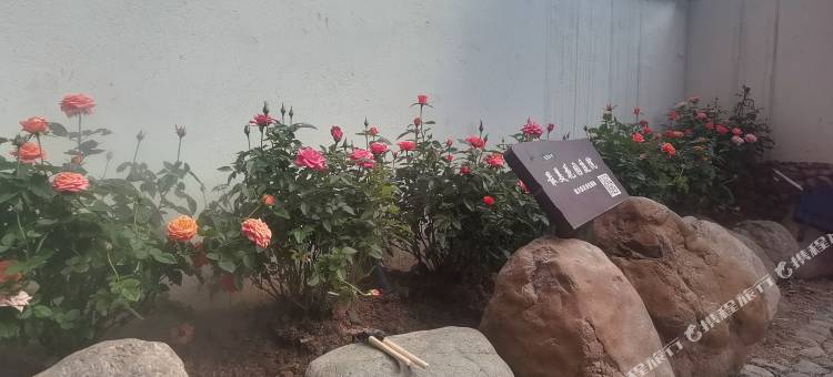 缙云行归民宿图片