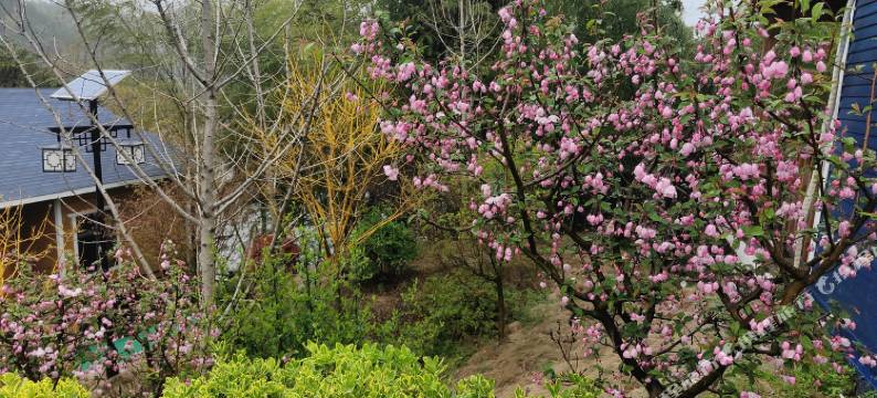 武穴彭河人家民宿图片