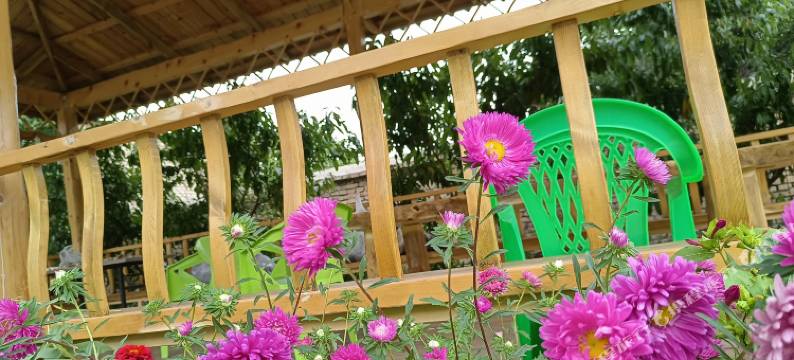 巩留继东酒店(库尔德宁店)图片