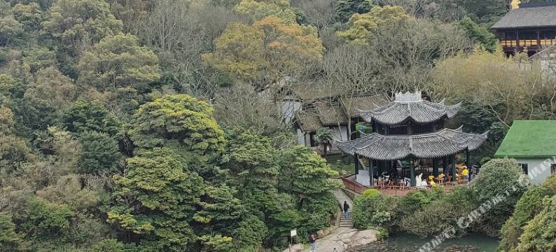 舟山桃花岛海棠苑图片