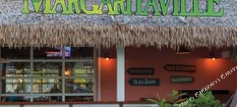 玛格丽塔维尔度假俱乐部 - 圣托马斯(Margaritaville Vacation Club - St Thomas)图片