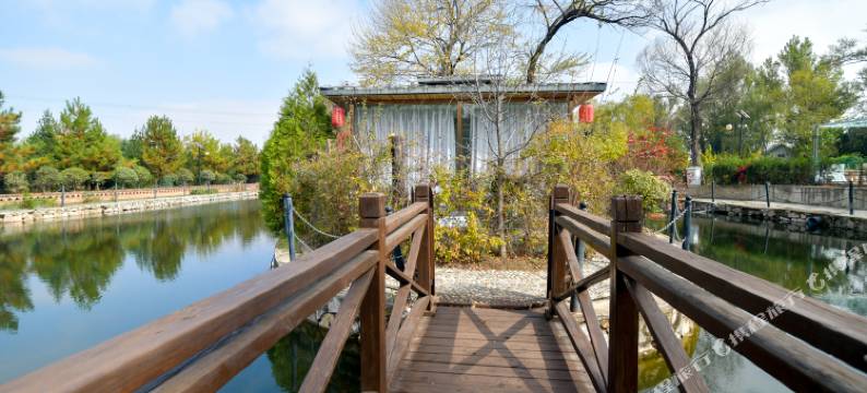 金源泰温泉民宿图片