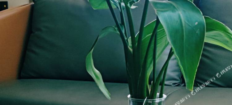 如家华驿酒店(临沂莒南汽车站乐尚购物中心店)图片