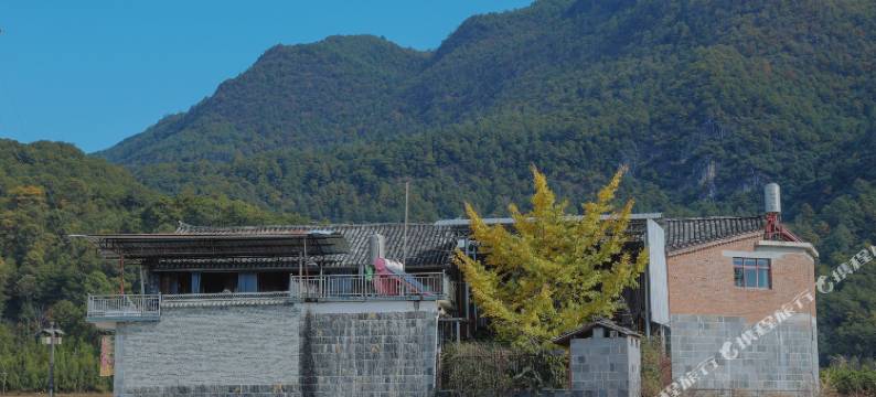 腾冲科菊农家乐图片