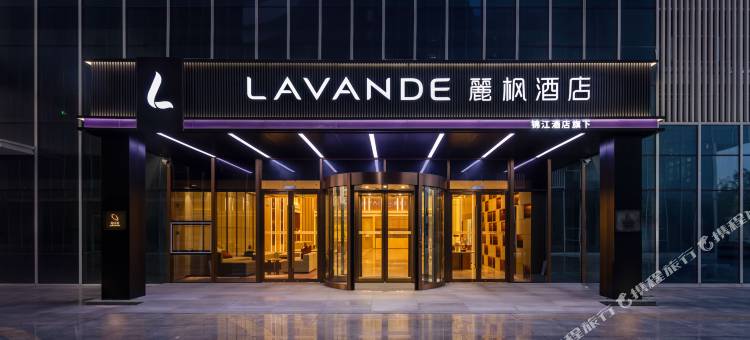 麗枫酒店(嘉兴南湖机场中德产业园店)图片