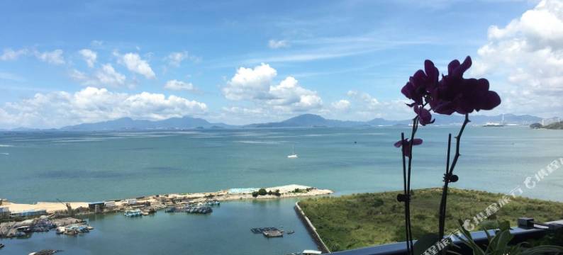 惠州多人出游十里银滩海滨沙滩海景风情民宿图片