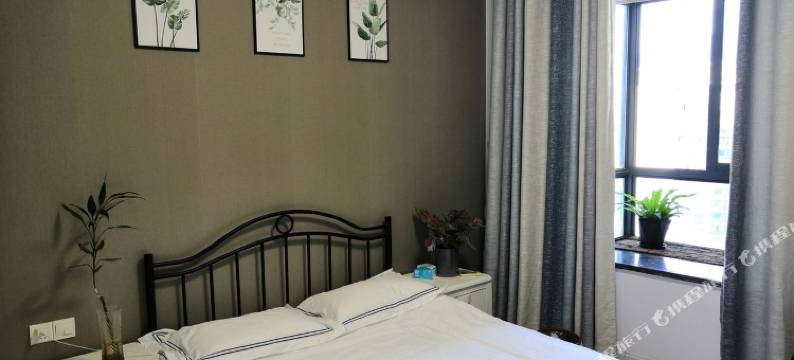 近会展万达灯光秀一线江景房公寓(江边洲路分店)图片