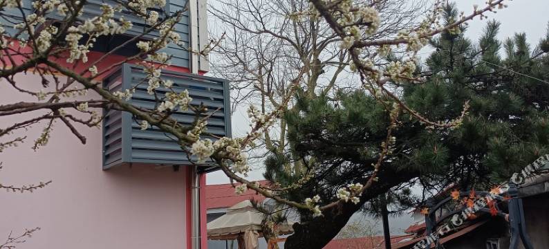 庐山隐居民宿(庐山索道上站台店)图片