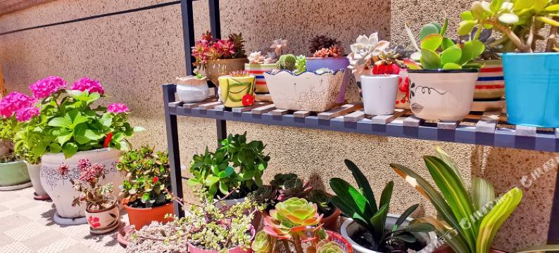 嵊泗嵊飞小庄图片