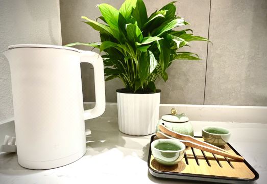 Wanfeng Linna Mountain home stay Hotel Overview