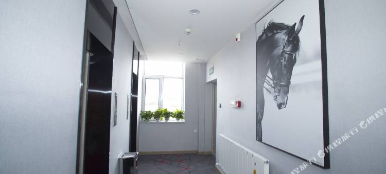 尚客优酒店(大广场店)图片