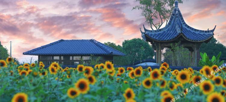 湖州慕仁淙星营地民宿图片