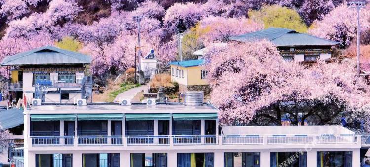 云顶庭院(索松村店)图片