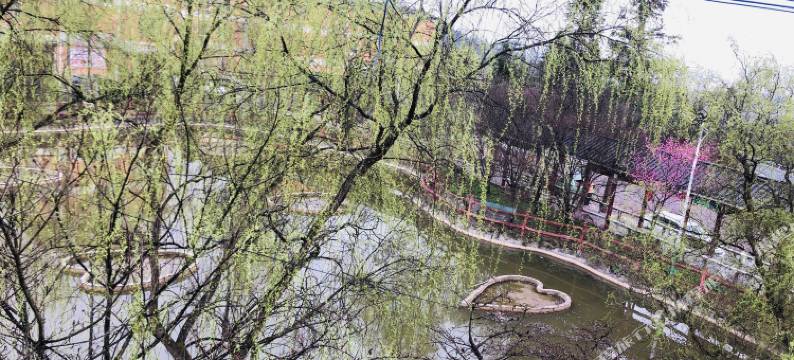 百里杜鹃花海农家图片