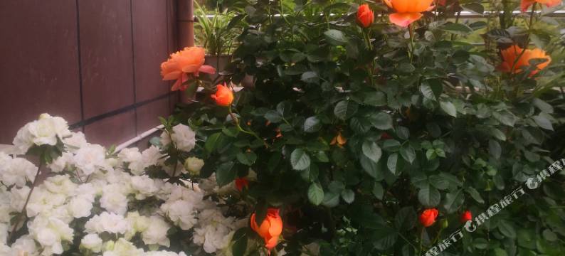 宣恩天成居民宿图片