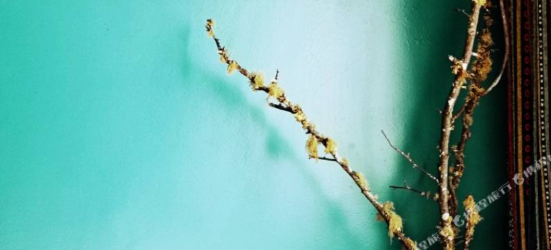 康定锅庄南无号民宿图片