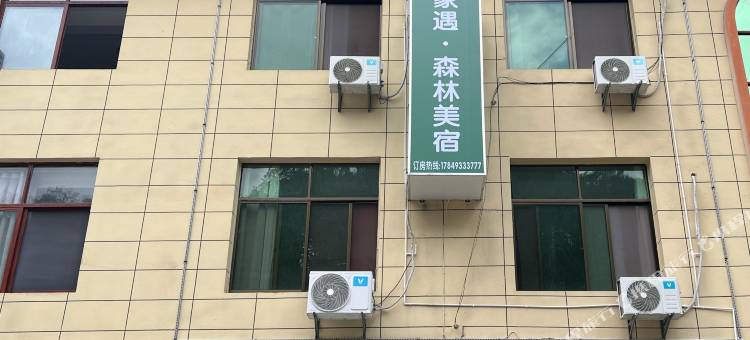 象遇·森林美宿(野象谷店)图片