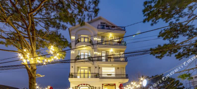 大叻正佳别墅(The Grandview Villa Dalat)图片