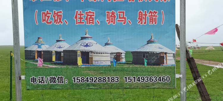 希拉穆仁草原阿拉塔牧民家图片