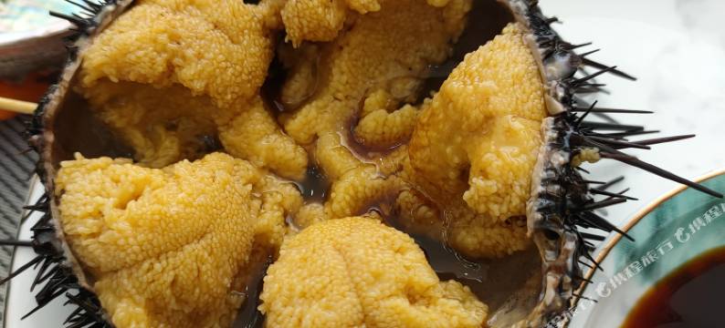 大连小徐快捷酒店式公寓图片