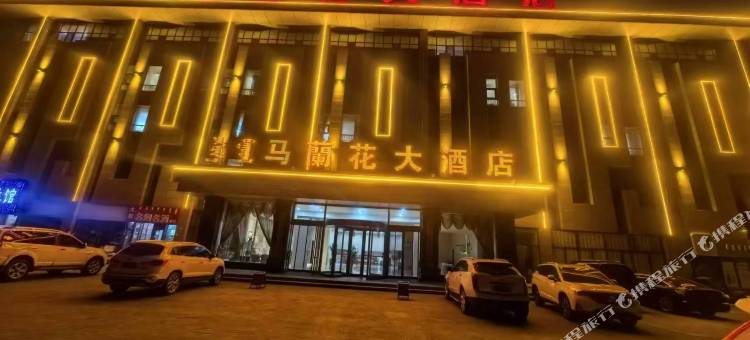 鄂托克前旗马兰花大酒店图片
