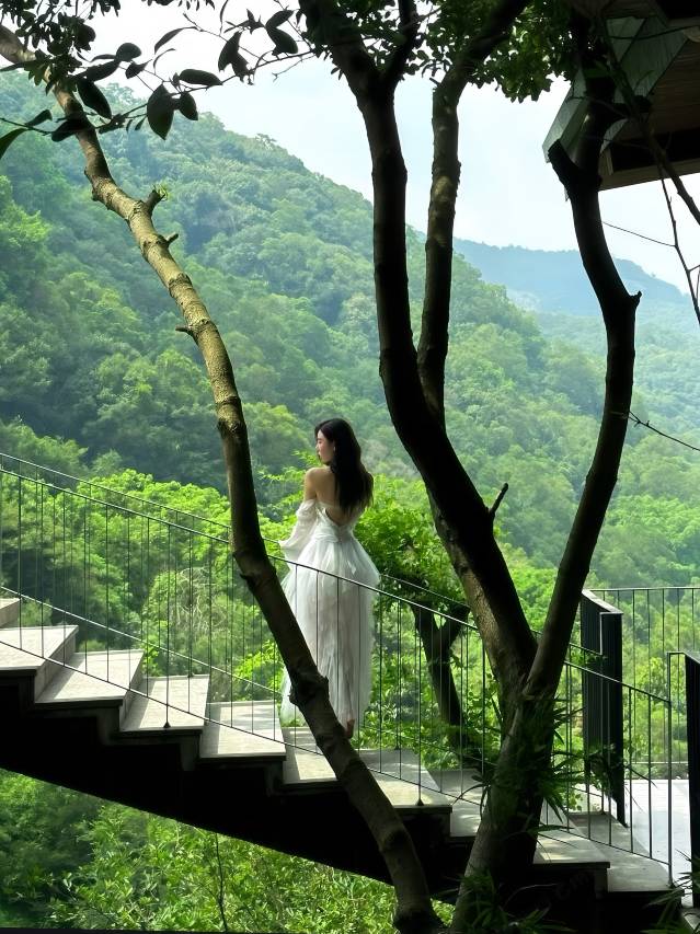 泉州茗山清源茶院图片