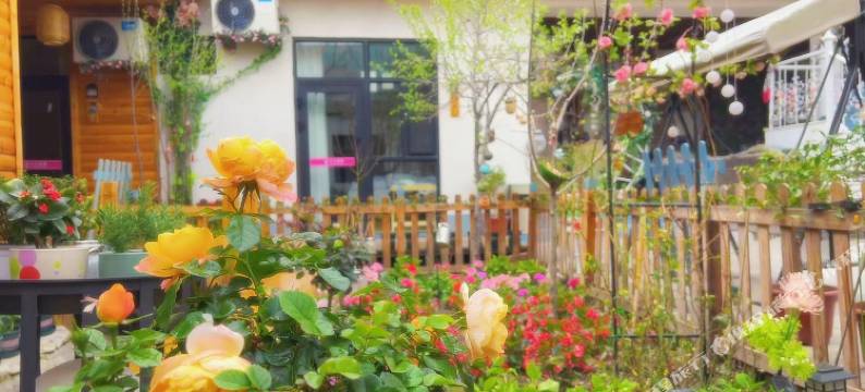 木子别院民宿(特克斯八卦城店)图片