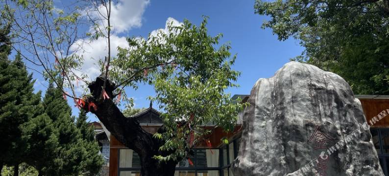 树下·听溪Holiday Inn度假酒店图片