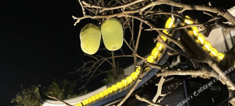 常熟悦三居民宿图片