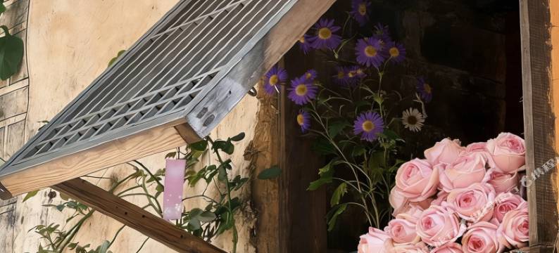 大理古城·多肉屋美宿(大理古城店)图片