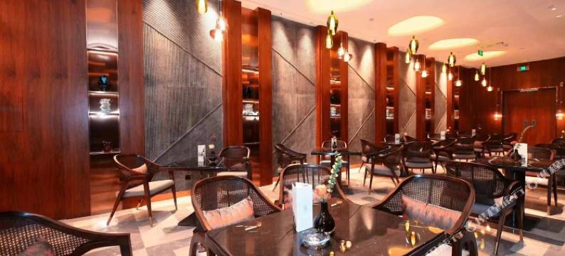 棠湖悠泊豪庭酒店(成都双流国际机场东升地铁站店)图片