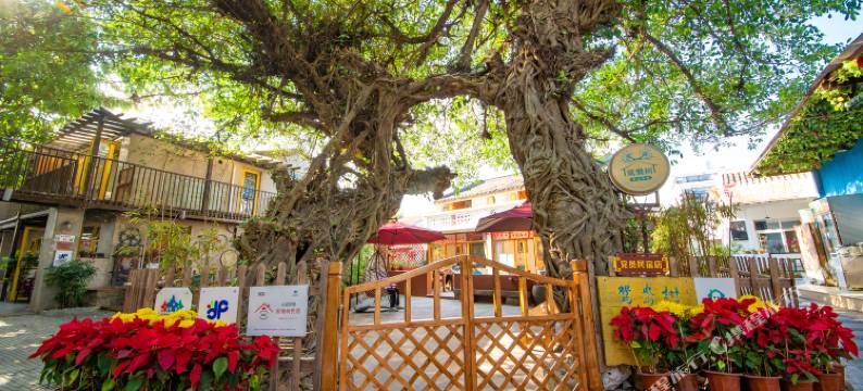 深圳鸳鸯树客栈(大鹏较场尾店)图片