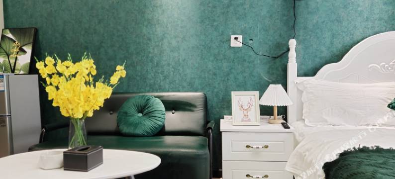 西安漫依民宿(大雁塔店)图片