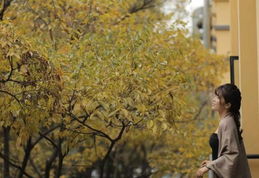 ART MEHotel Overview