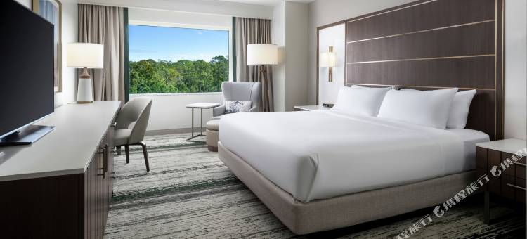 Signia by Hilton Orlando Bonnet Creek图片
