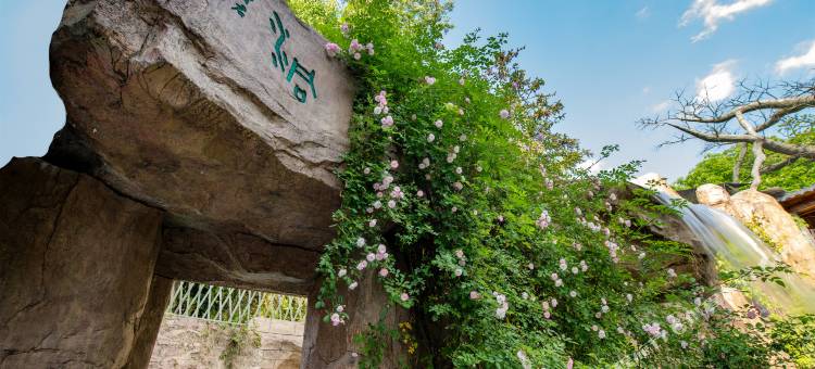 丘山半舍·仙影Courtyard泳池度假美宿(缙云仙都景区店)图片