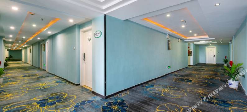 深圳佳泰精品酒店(平湖华南城地铁站店)图片