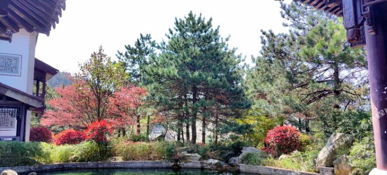 商城花潭客舍酒店(黄柏山景区店)图片