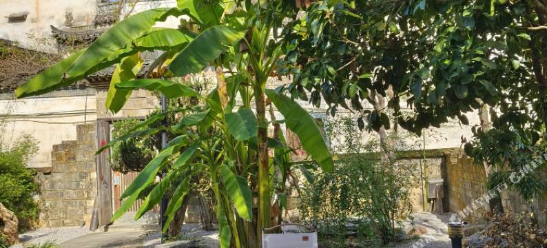 婺源将军府·福绥堂图片